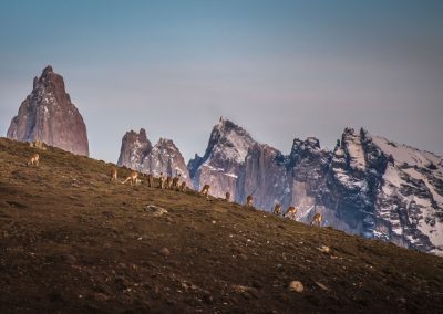 Torres del Paine National Park