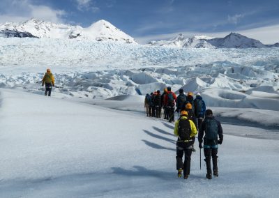 Grey Glacier Ice Hike