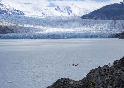Grey Glacier Kayaking