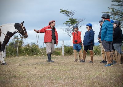 Dorotea Horseback Riding