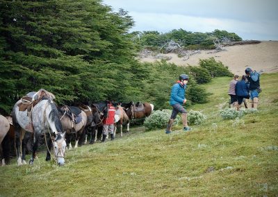 Dorotea Horseback Riding