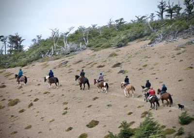 Dorotea Horseback Riding