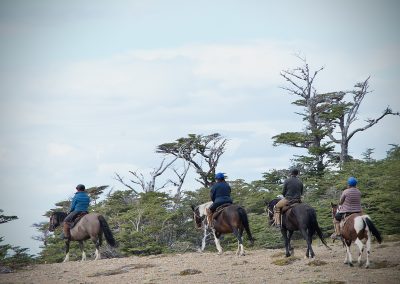 Dorotea Horseback Riding