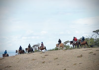 Dorotea Horseback Riding