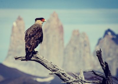 Torres del Paine National Park