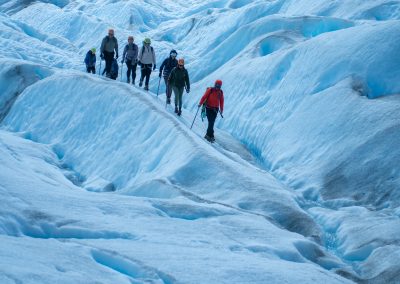 Grey Glacier Ice Hike