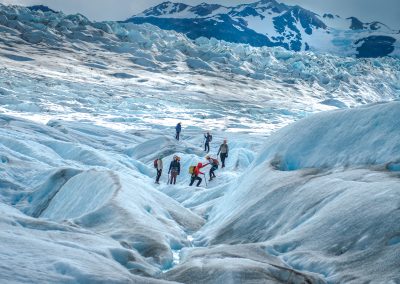 Grey Glacier Ice Hike